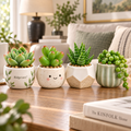 Ridgevaro succulent set image 1
