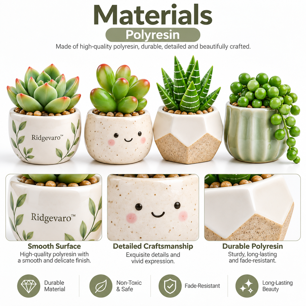 Ridgevaro succulent set image 2