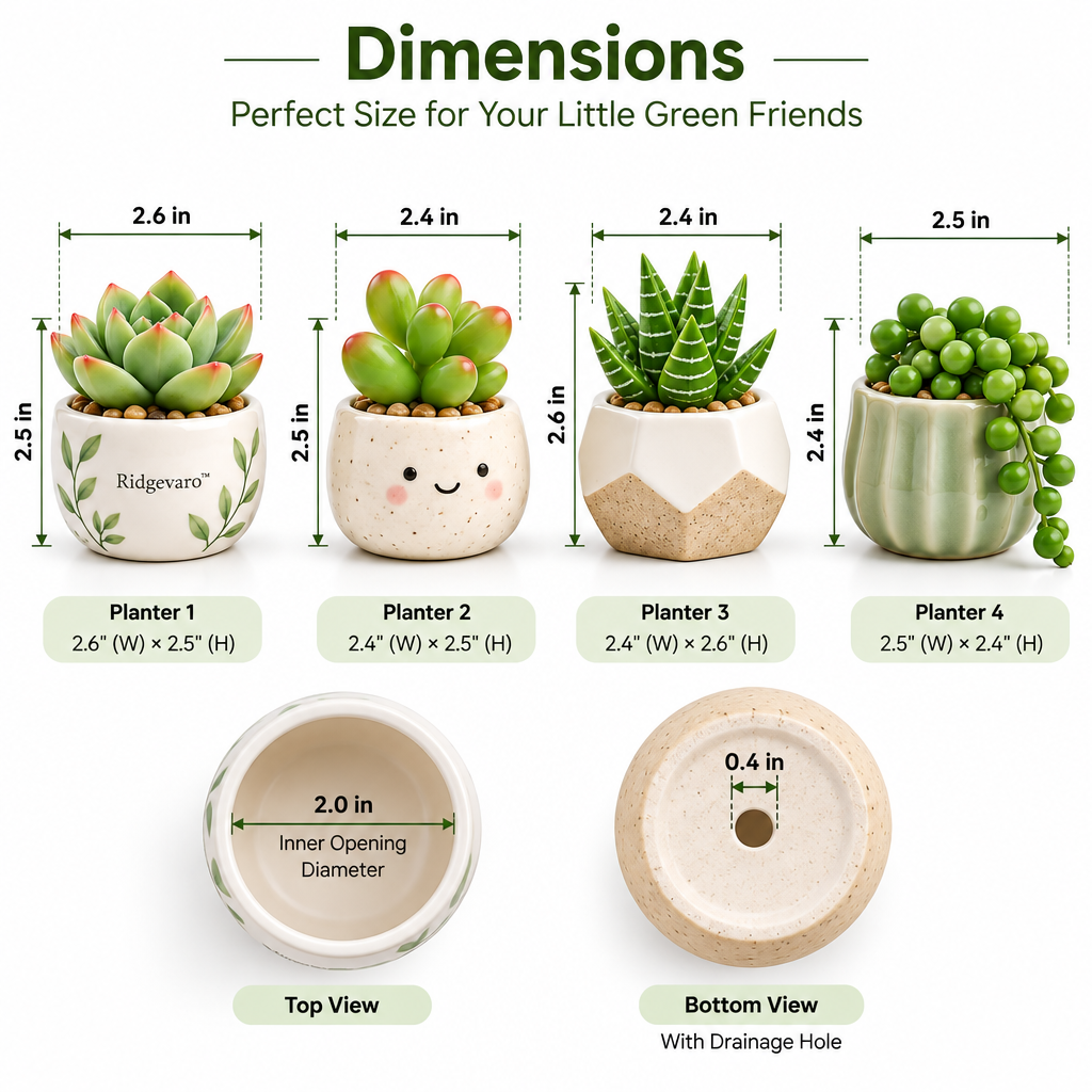 Ridgevaro succulent set image 3