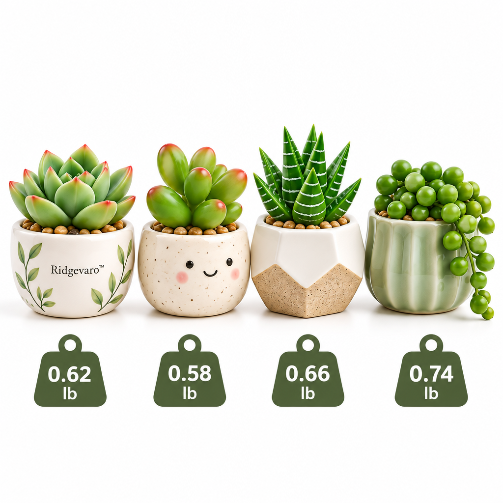 Ridgevaro succulent set image 4